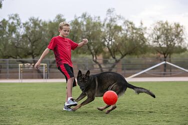 М'яч для собак Jolly Pet Zen-Kat Jolly Soccer Ball 20 см, червоний, великий/дуже великий