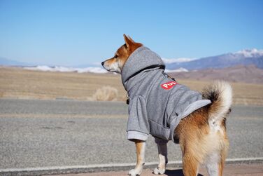 Худі ChoChoCho Pup стильний одяг для домашніх тварин сірого кольору