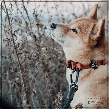 Преміум нашийник для собак Made to Roam, нейлоновий, регульований, із металевою застібкою, колір Oregon Haze, розмір 4