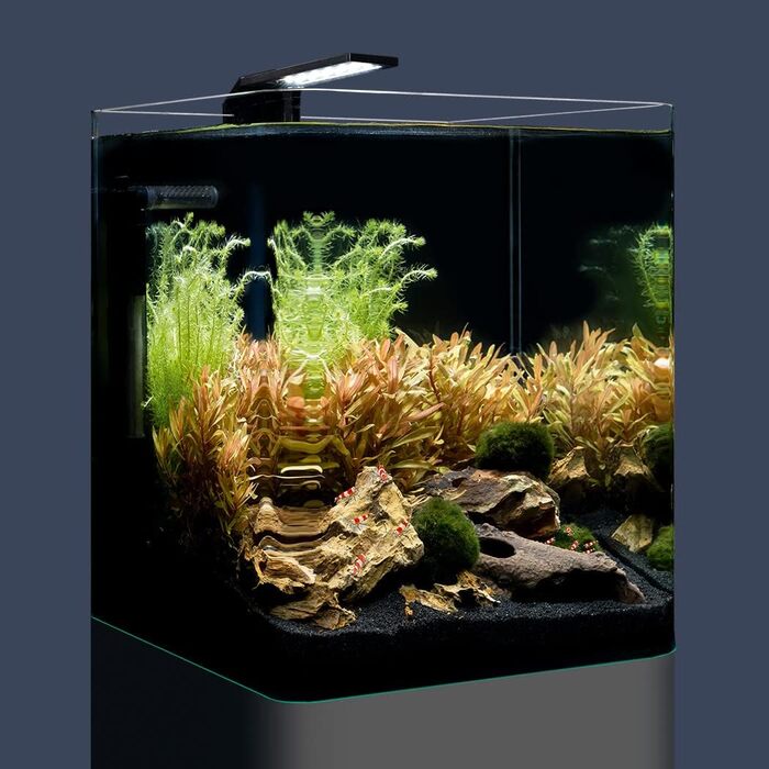 Nano-акваріум Dennerle Cube Basic 20 л з округлим склом