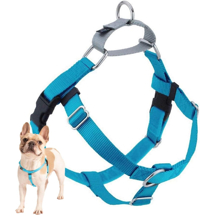 Шлейка для собак Hounds Design Freedom, бірюзова, 2