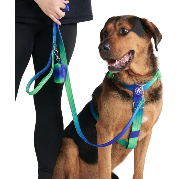 Велика шлейка для собак Spark Paws, міцна, ретро 90-х, L