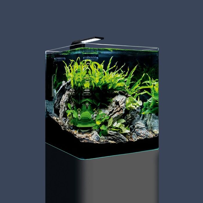 Dennerle Nano Cube Basic 30 л – Міні-акваріум із заокругленим переднім склом
