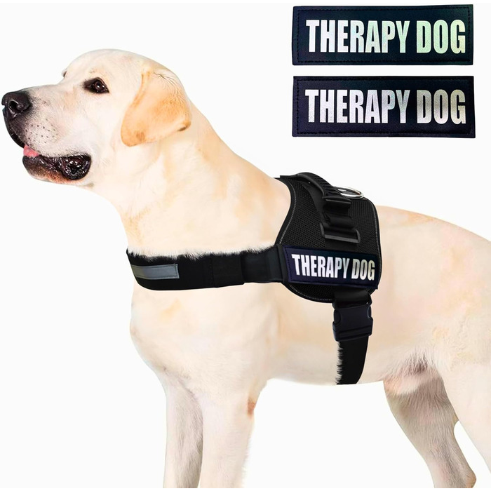 Шлейка для собак Albcorp Reflective Therapy, червона, М