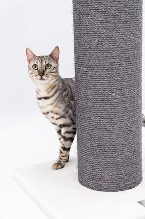 Стовбур для подряпин Petrebels XXL Savannah 86см брудно-білий