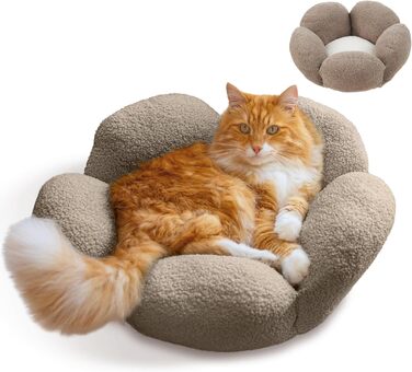 Пелюстки Котяча лежанка, що миється, кругла