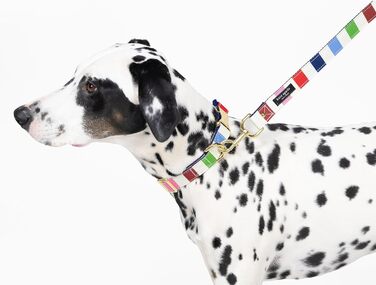 Нашийник для собак Kate Spade NY, золота пряжка, 39-61 см, регульований