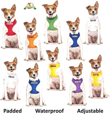 Шлея для собак 'KEINE HUNDE' L-XL, помаранчева, анти-тяга, попереджувальна, не для спілкування з іншими собаками