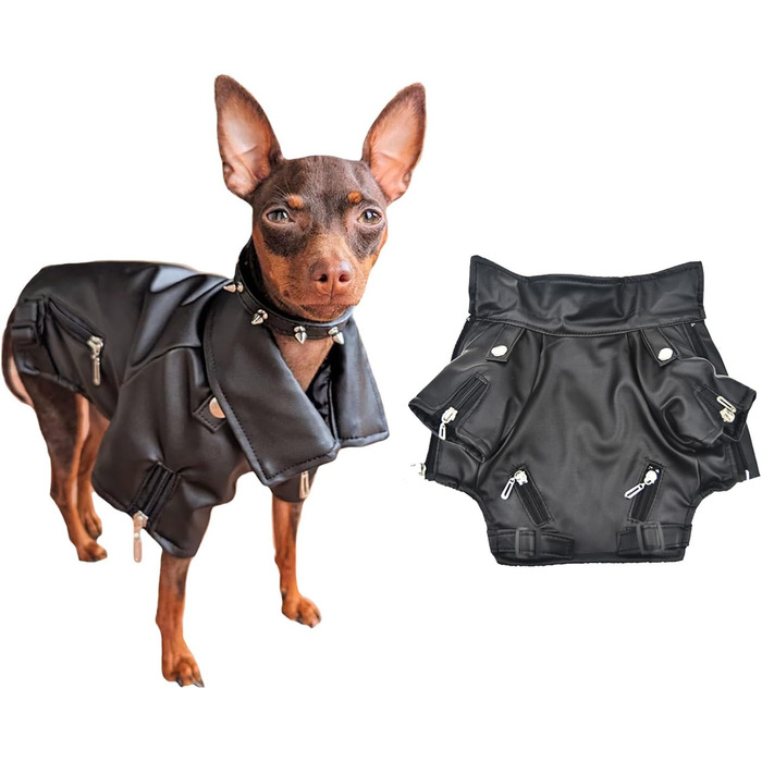Шкіряна куртка Cool Dog, костюм на Хеллоуїн (розмір M)