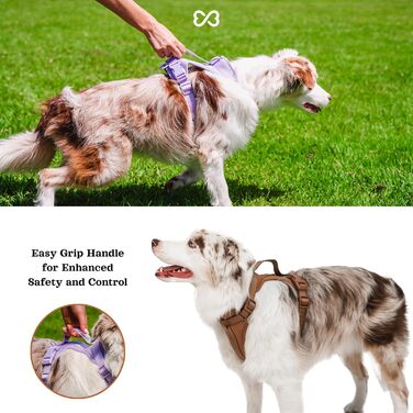 Шлейка для собак Easy Walk BearBone, що запобігає витягуванню, зелена