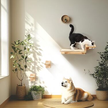 Комплект скеледром FUKUMARU Cat сходи, станція годування