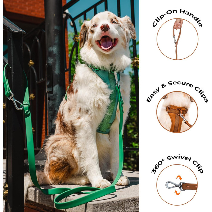 Шлейка для собак Easy Walk BearBone, що запобігає витягуванню, зелена