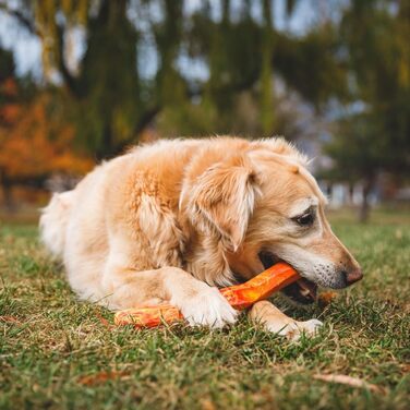 Ruffwear Gnawt-a-Stick довговічна іграшка для собак, помаранчева