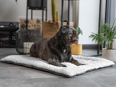 Двостороння ковдра TrendPet Heaven для собак і кішок, сіра