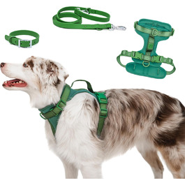 Шлейка для собак Easy Walk BearBone, що запобігає витягуванню, зелена