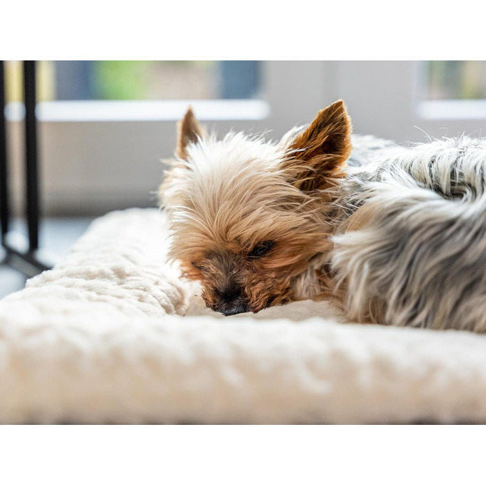 Двостороння ковдра TrendPet Heaven 4 см для собак і кішок