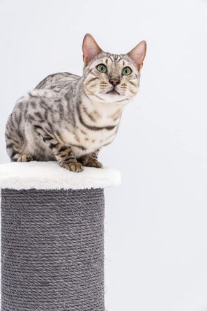 Стовбур для подряпин Petrebels XXL Savannah 86см брудно-білий