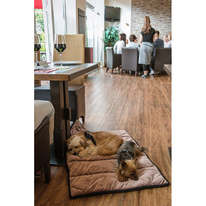 Туристичний килимок для собак і котів TrendPet Meine Restaurantdecke, 100x70 см