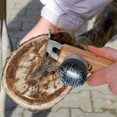 Кігтеточка для копит коня Hobber, мала, неіржавка сталь, щітка нейлонова