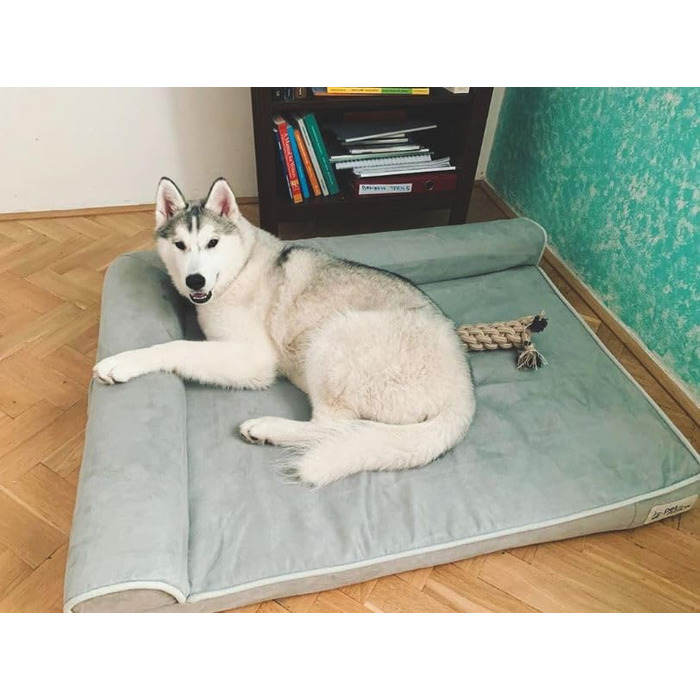 Лежак для собаки PetFusion Betterlounge, розмір L, піна з ефектом пам'яті
