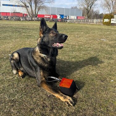 Іграшка для собак Dingo Gear Beißwurst з Nylcot, 10x10 см, куб, з ручкою, чорна/червона – для тренування та ігор