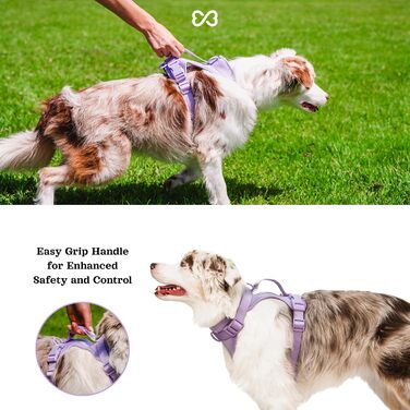 Комплект шлейки для собак Easy Walk, зелений, середній, бузковий